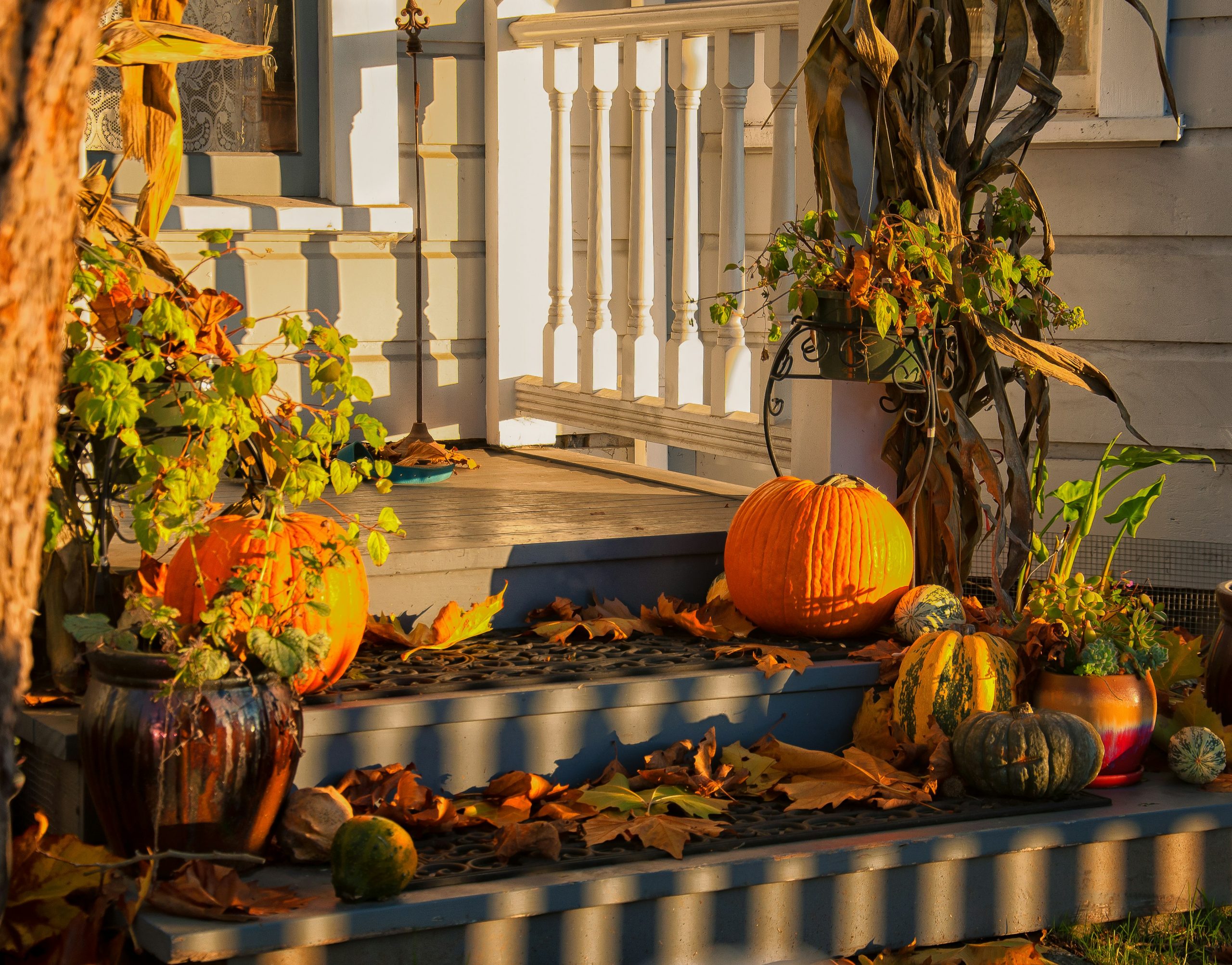 Ways to Make Your House Cozy for Fall Showings